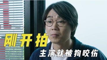 娱乐吃瓜君右上角